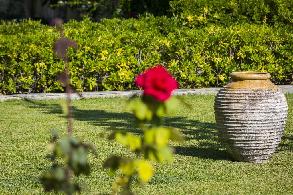 Olive Grove Studios & Apartments Svoronata Luaran gambar